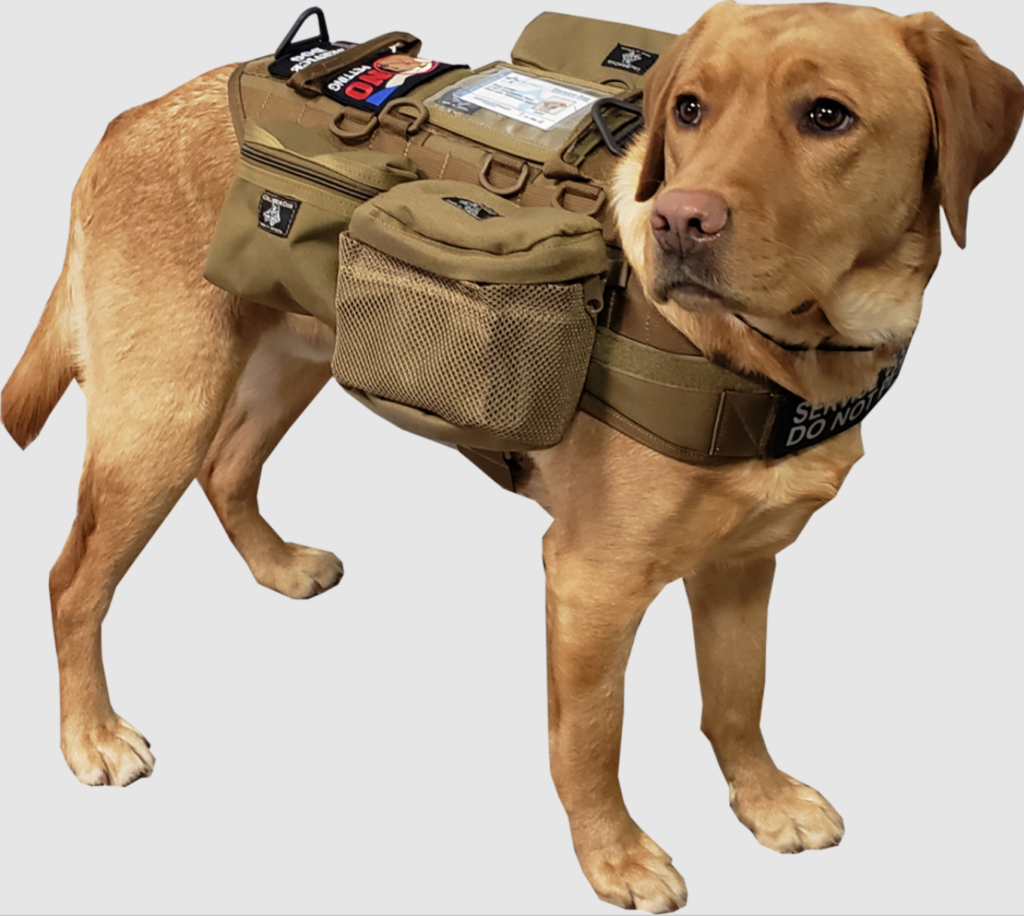 What is a tactical vest for dogs Petsyfy