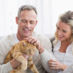 <strong>Comprehensive Coverage from Head-to-Tail: Why Animalia Pet Insurance is a Top Choice for Pet Owners</strong>