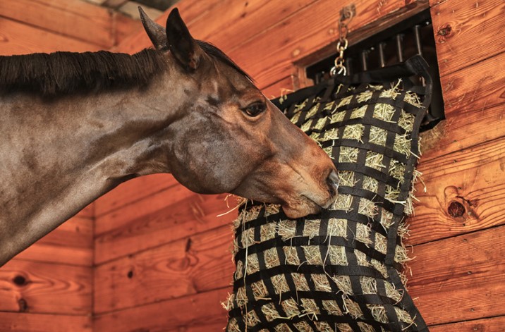 The Importance Of Ration Balancers In Horse Nutrition