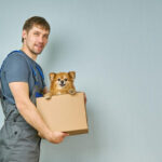 Pets Relocation To Singapore - Is It Worth Hiring Pet Movers?