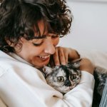 Essential Tips for New Cat Owners