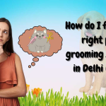 How do I find the right pet grooming service in Delhi NCR?