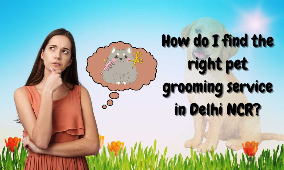 How do I find the right pet grooming service in Delhi NCR?