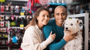 Why Investing in the Right Dog Supplies Matters More Than You Think