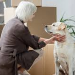 How Busy Pet Owners Can Manage Large Moves With Less Stress images – 2026-01-23T030444.218