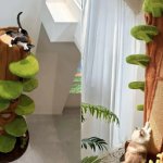 unnamed – 2026-02-20T160220.763