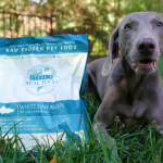 How Raw Dog Food for Dogs Supports Stronger Immunity support-dog-immuen-system
